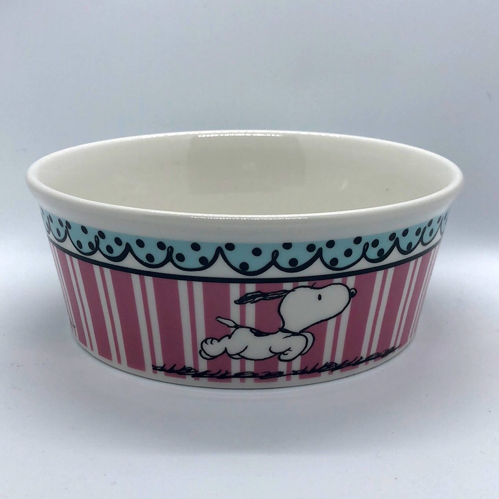 Peanuts Snoopy Pet Bowl Stoneware Gibson5”